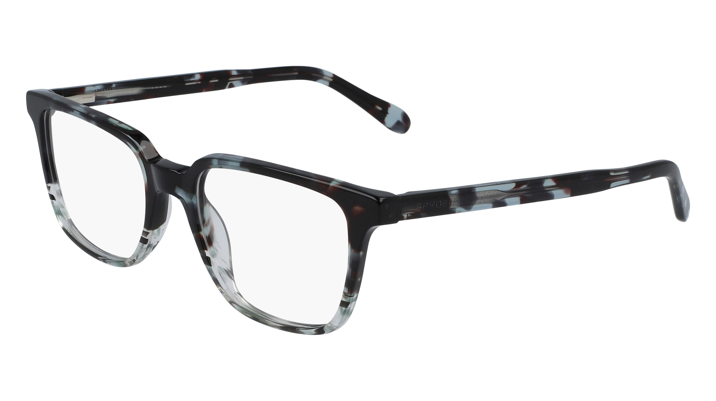 Black Tortoise