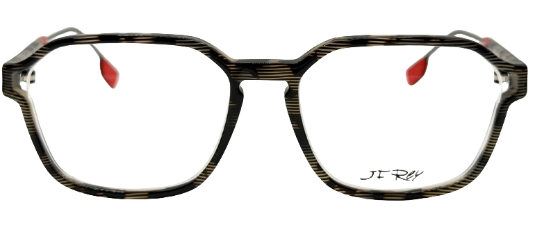 Grey Tortoise