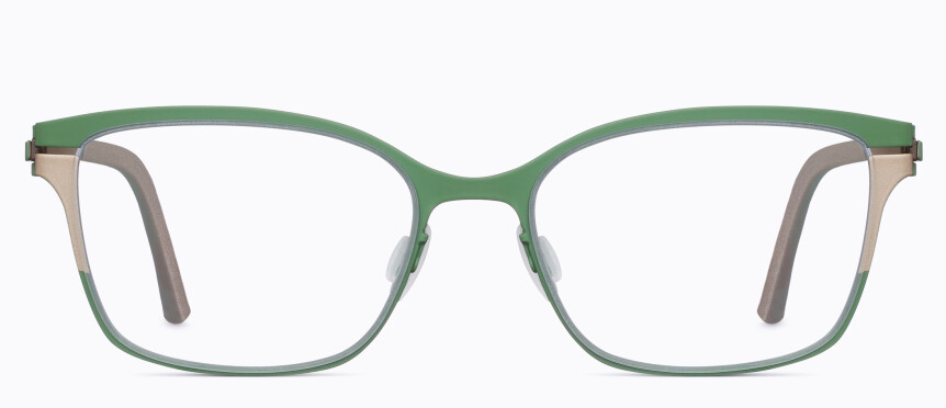 6069 / 107/119z fern/platinum