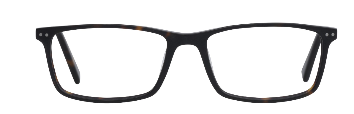 Black/Tortoise