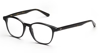 BLACK TORTOISE SHINY