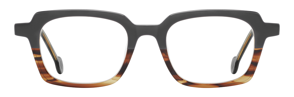 Wingtip Tortoise