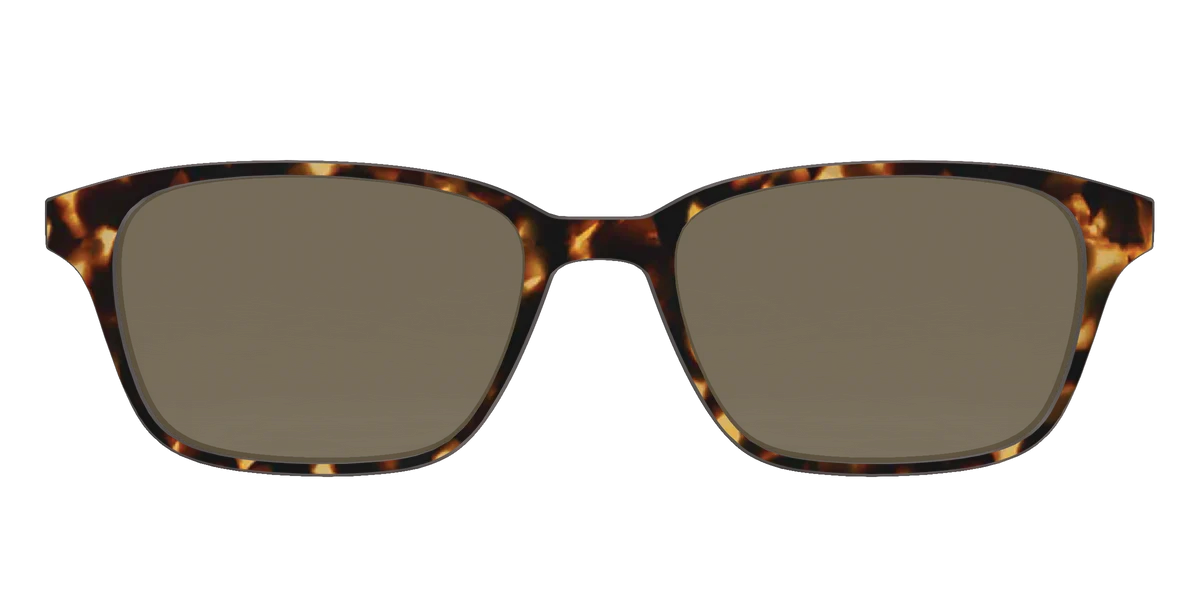 TORTOISE SUN