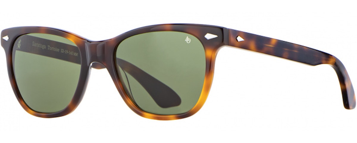 Tortoise / Frame Only