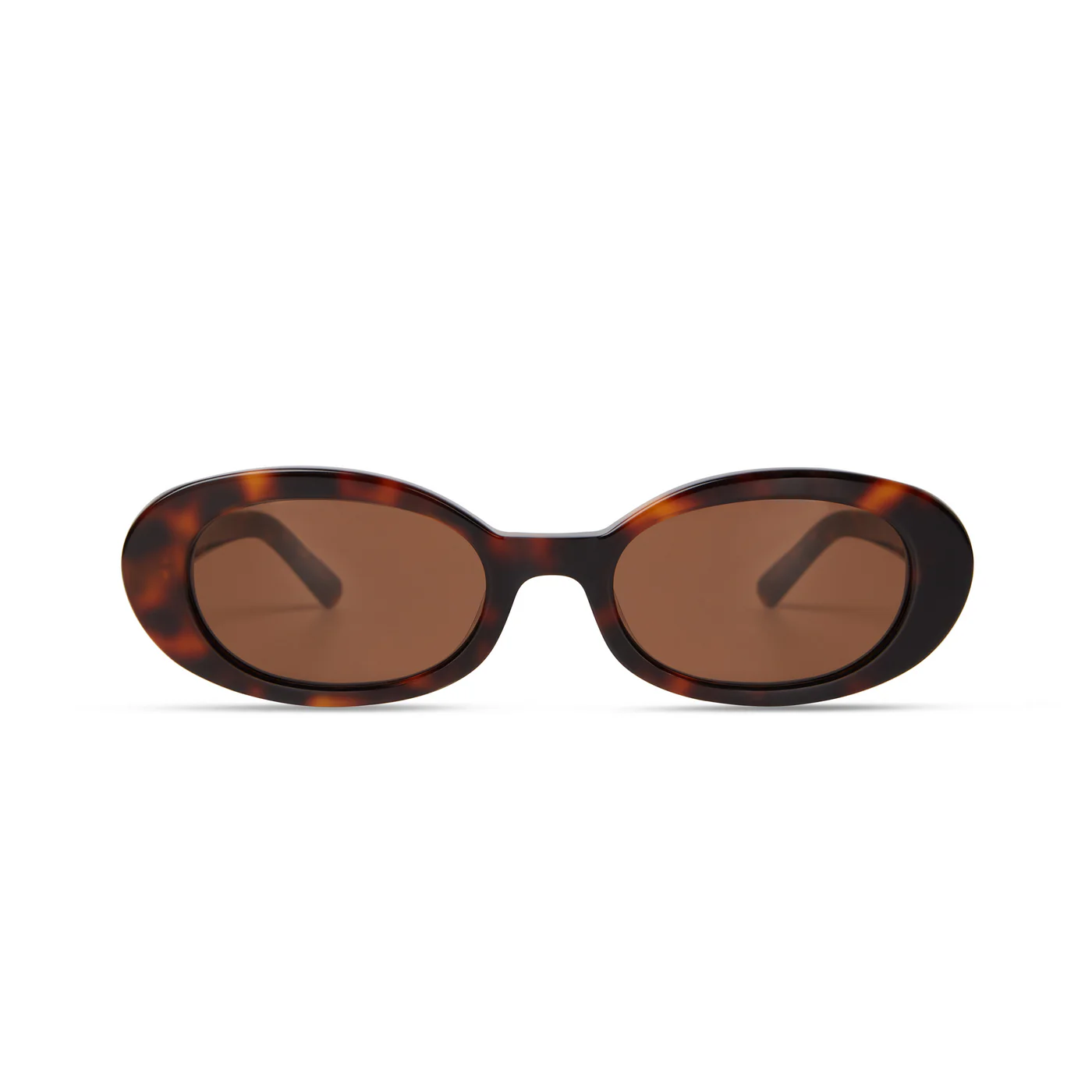 BROWN TORTOISE