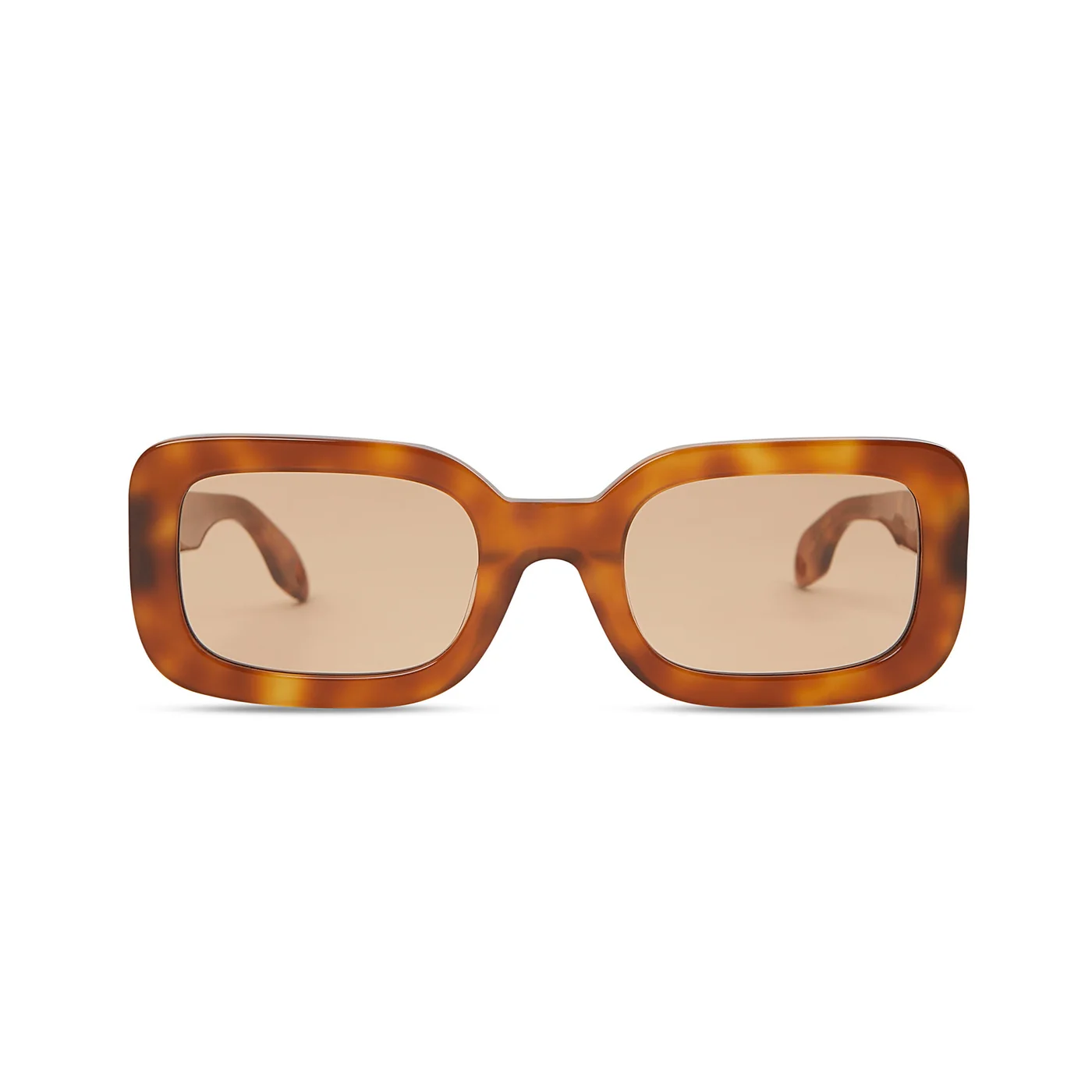 BROWN TORTOISE