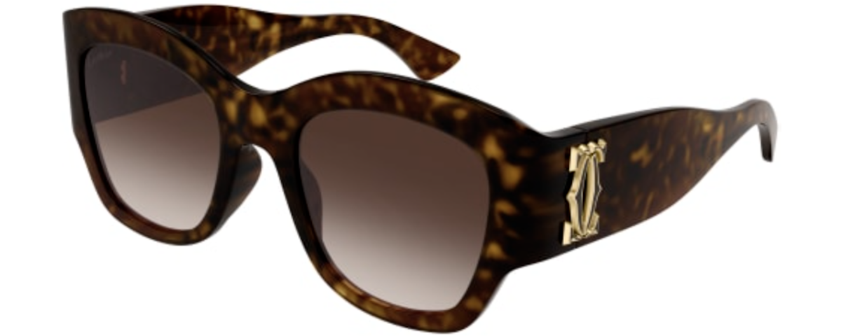 002 HAVANA HAVANA BROWN