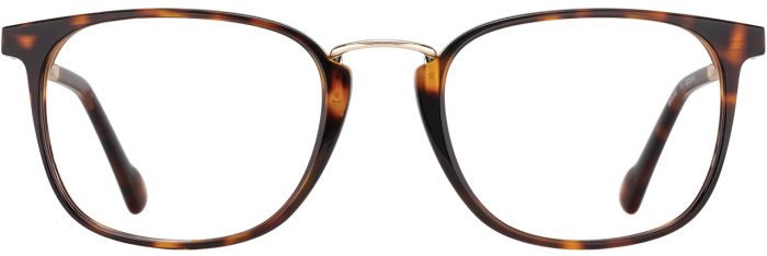 Tortoise / Gold