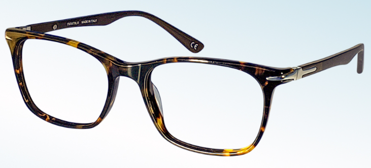 C16 TORTOISE