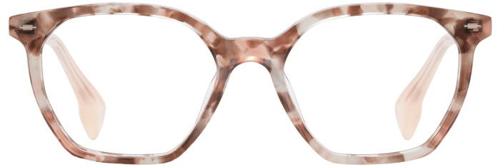 Neopolitan Shell