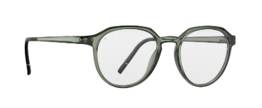 5010 Gentle Sage