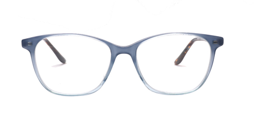 1-Blue Grey w/ Tort Marble