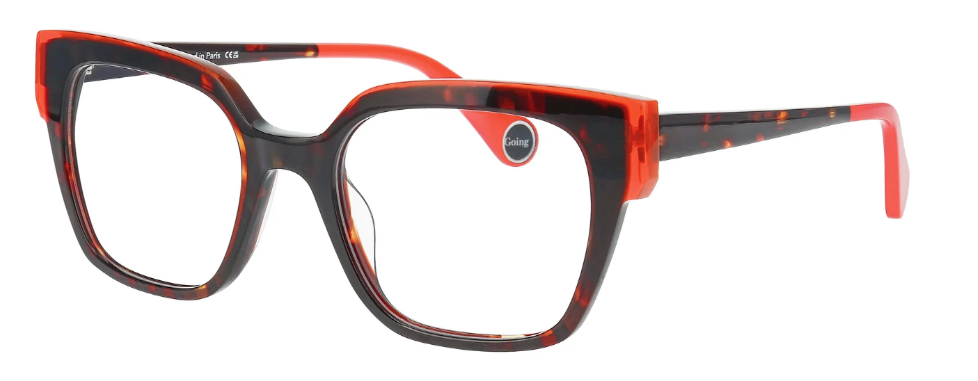 0063 Light Dark Tortoise