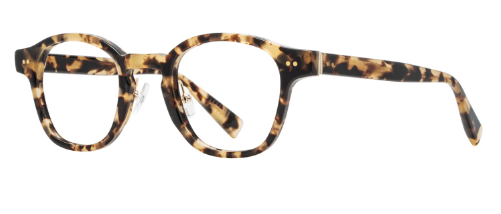 C3-Sand Tortoise