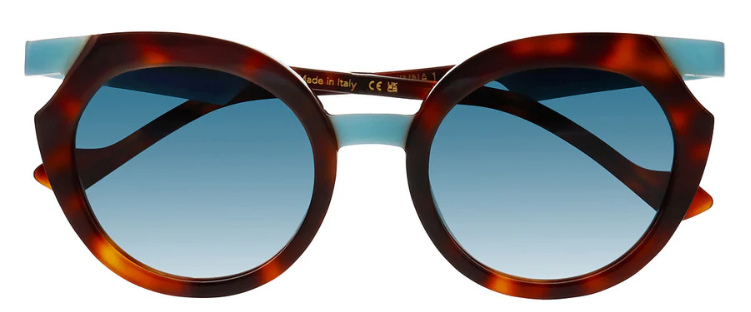 238-Medium Tortoise