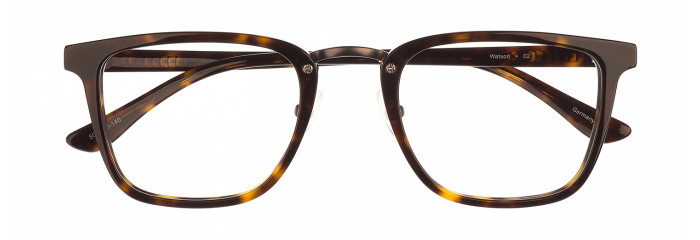 02 Dark Tortoise