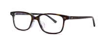 2-Dark Tortoise Blue/Grey
