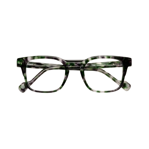 Green tortoise / Black