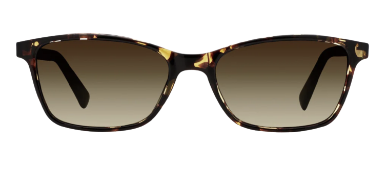 DESNA / New Tortoise