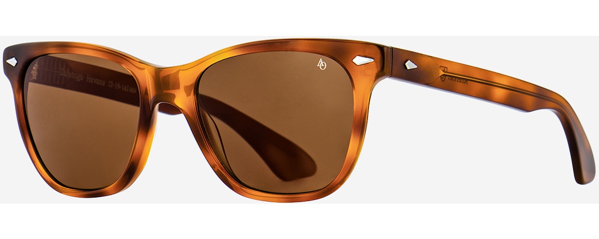 Tortoise / Frame Only