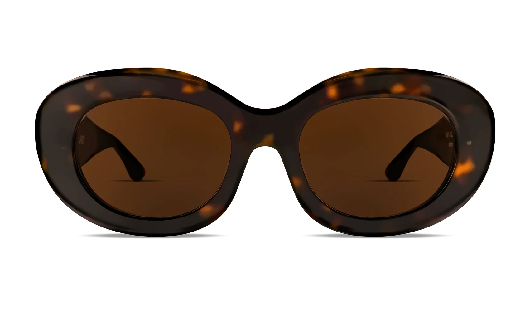 ENVY / 1003 TORTOISESHELL