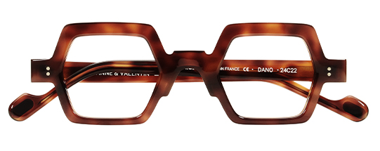 24C22 BROWN TORTOISE