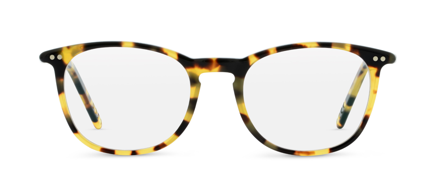TOKYO TORTOISE 16