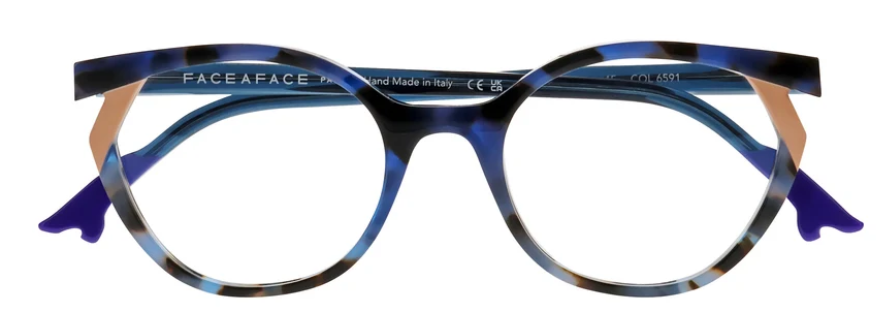 Blue Tortoise