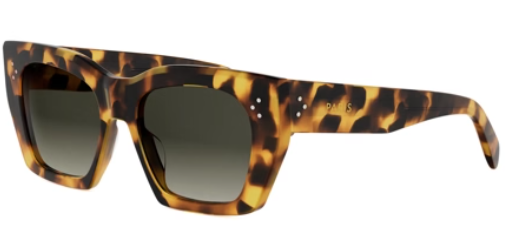 Tokyo Tortoise