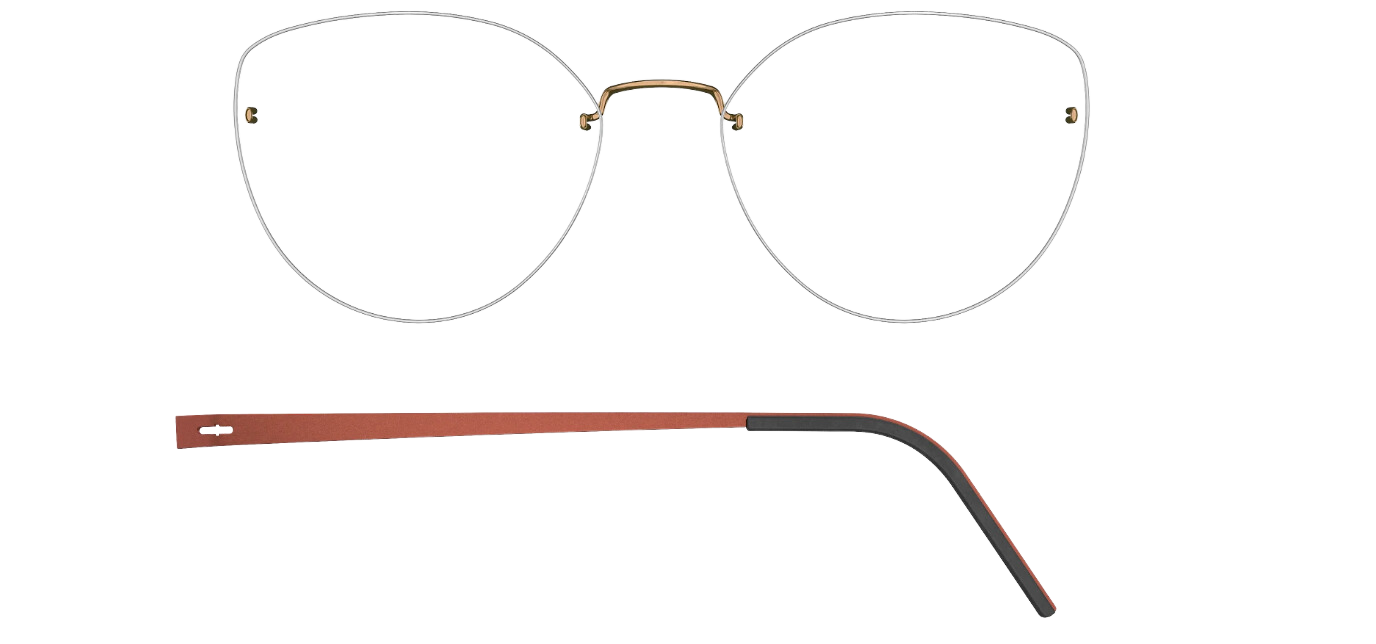 Groove 69, Temples U17, Clips P60, Bridge P60