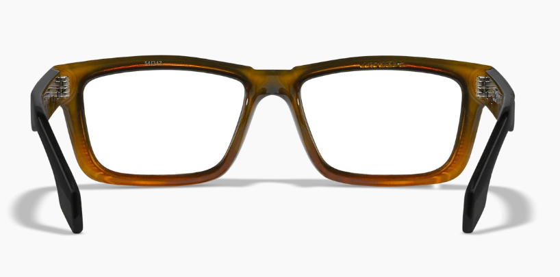 CONTOUR / Gloss Black / Brown Stripe