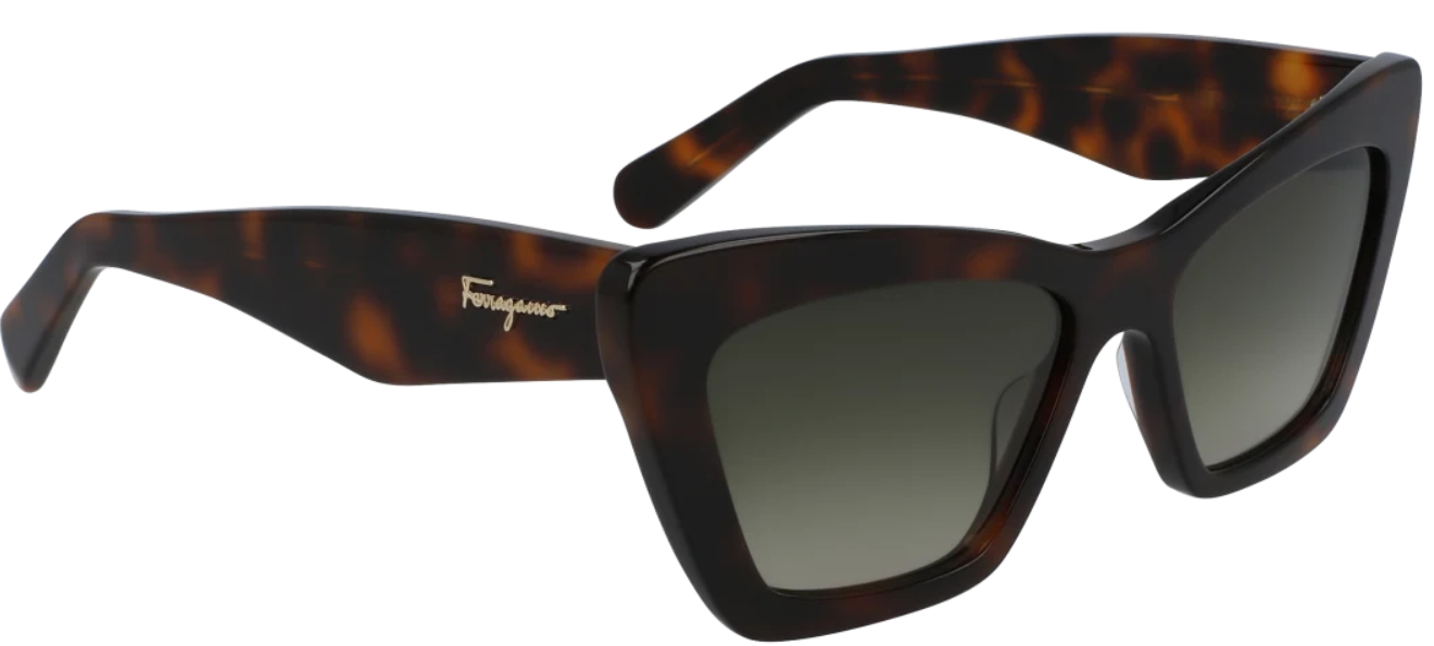 SF929S / BROWN TORTOISE