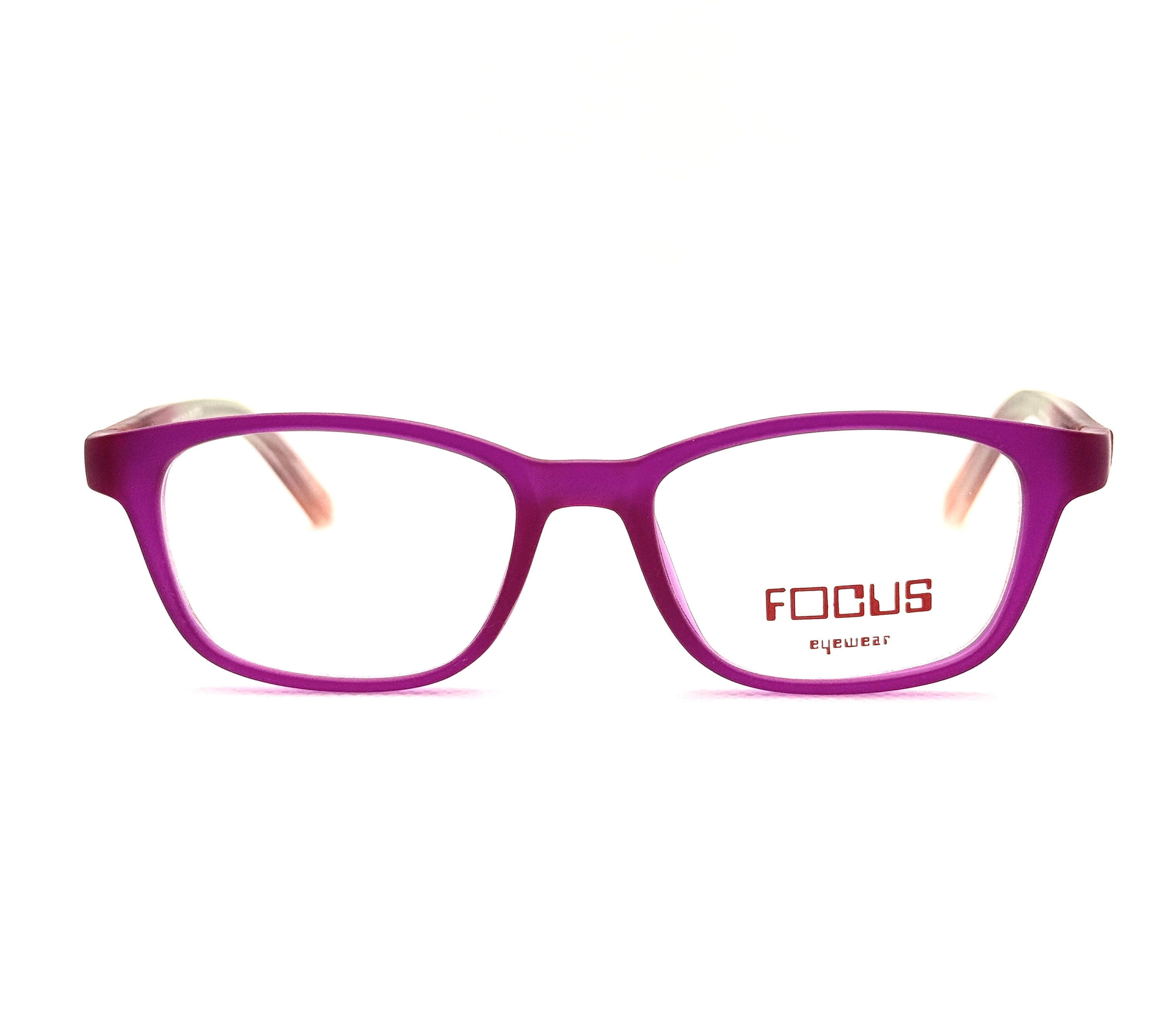 FOCUS 261 / Fuchsia
