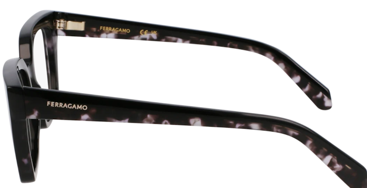 SF3010 / BLACK/BLACK TORTOISE