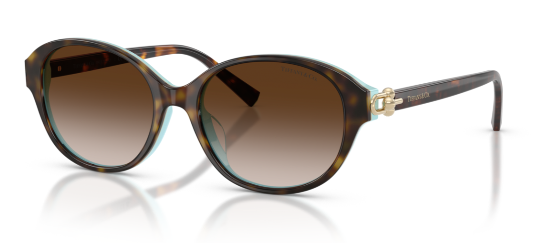 HAVANA ON TIFFANY BLUE