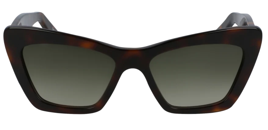 SF929S / BROWN TORTOISE