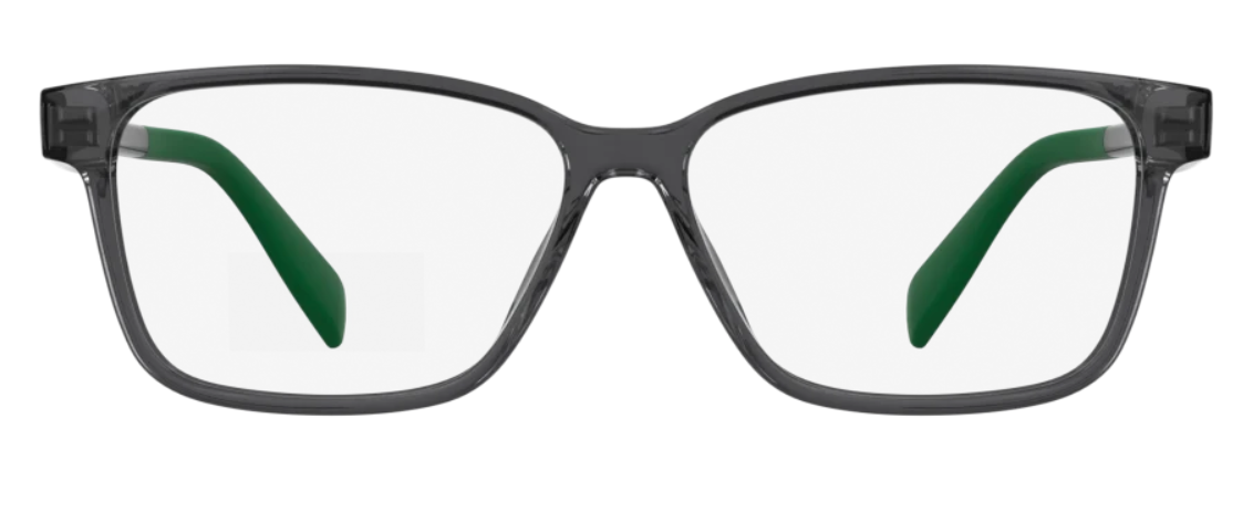 L3664 / TRANSPARENT GREY