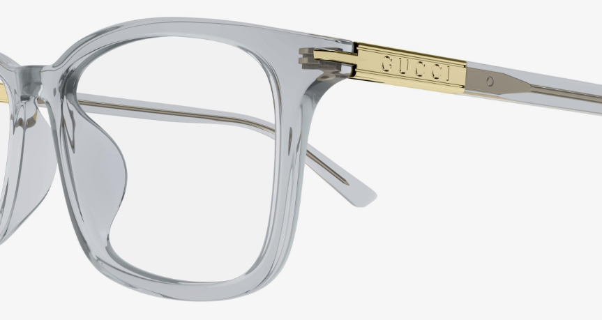 GG1900OA / GREY TRANSPARENT