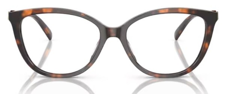 MK4109U WESTMINSTER / DARK TORTOISE