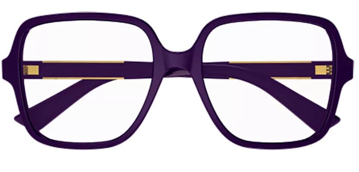 GG1193O / Purple