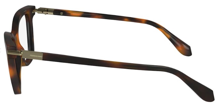SF2991 / TORTOISE