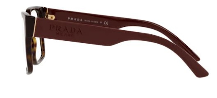 PR 10WV / DARK HAVANA