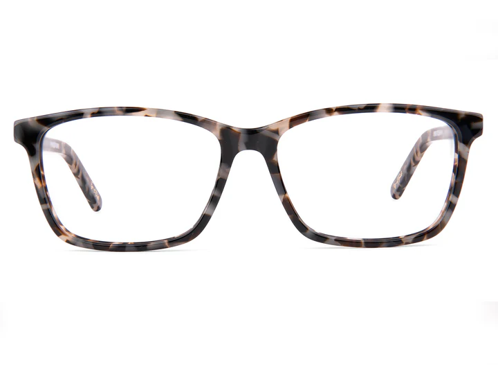 Black Tortoise