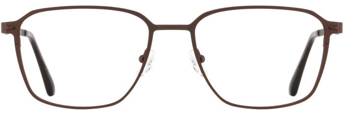 Chocolate / Olive