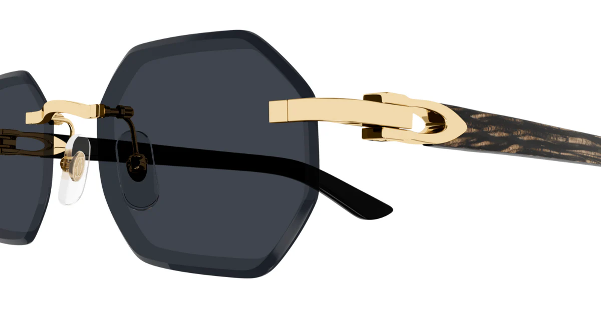 CT0439S / Gold Black Grey