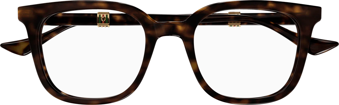 GG1497O / Havana Havana Transparent