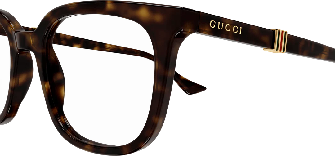 GG1497O / Havana Havana Transparent