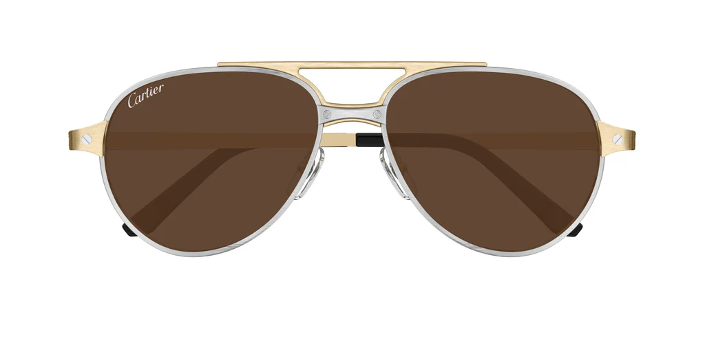 CT0476S / Silver Gold Brown