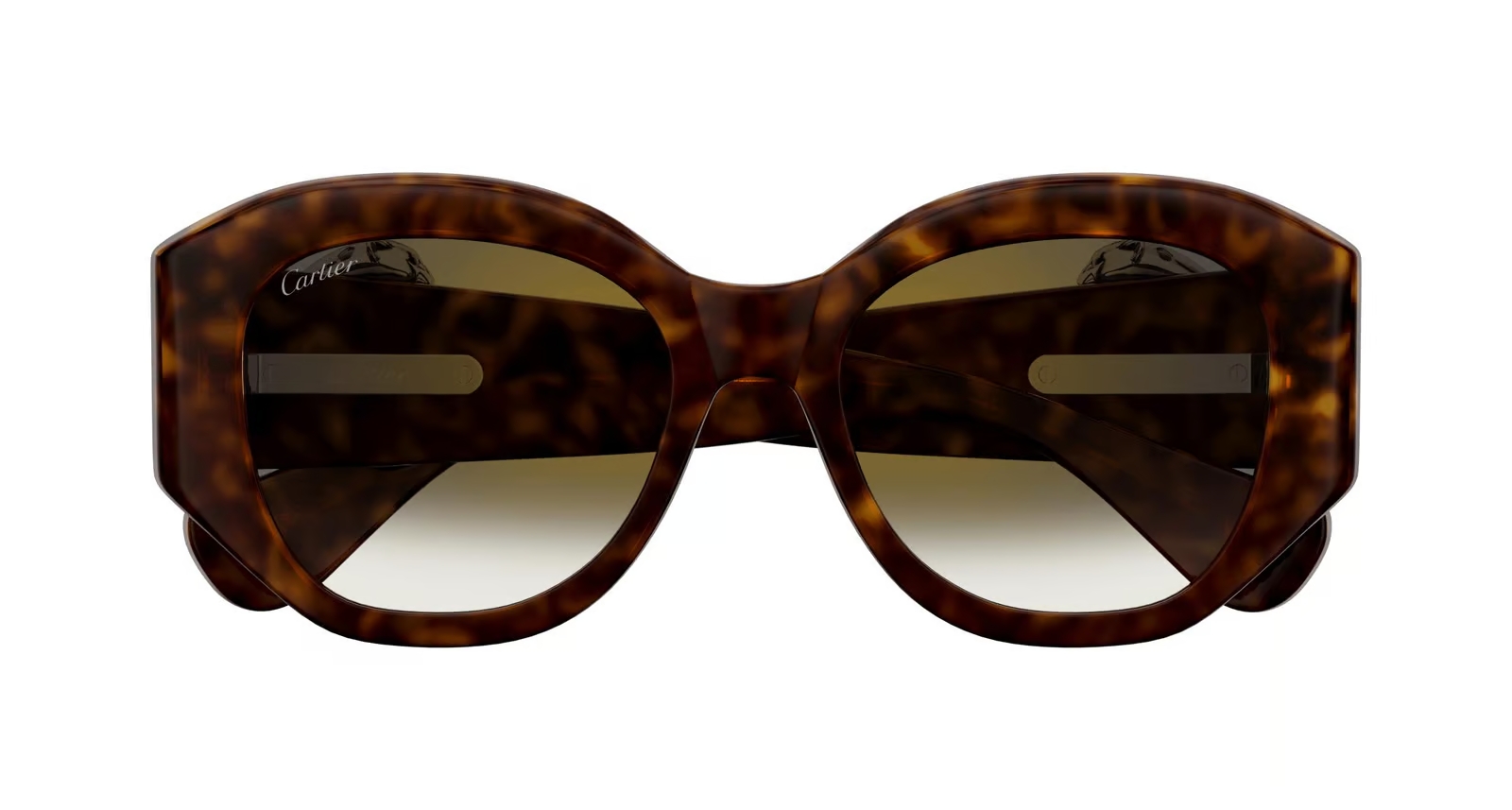 CT0502S / Havana Havana Green