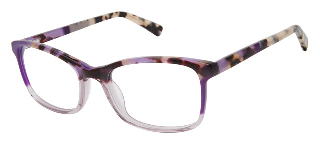 purple tortoise
